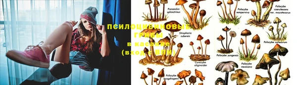 MDMA Белоозёрский