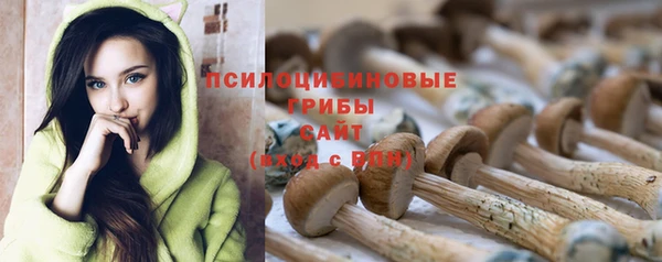 МДПВ Беломорск