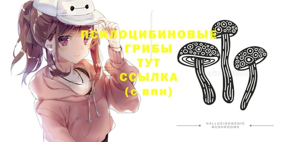 наркотики Белокуриха